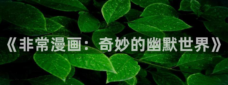 贫穷父女快看漫画：《非常漫画：奇妙的幽默世界》