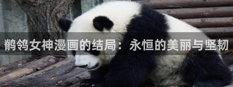 快看漫画回归礼：鹡鸰女神漫画的结局：永恒的美丽与坚韧