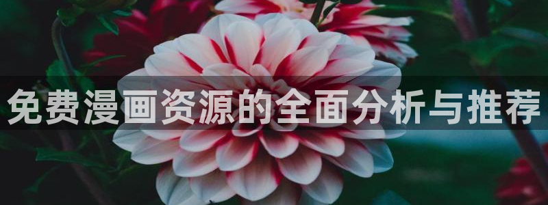 快看漫画安装包：免费漫画资源的全面分析与推荐