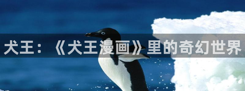 将嫁快看漫画：犬王：《犬王漫画》里的奇幻世界